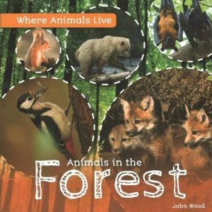 Animals in the Forest 